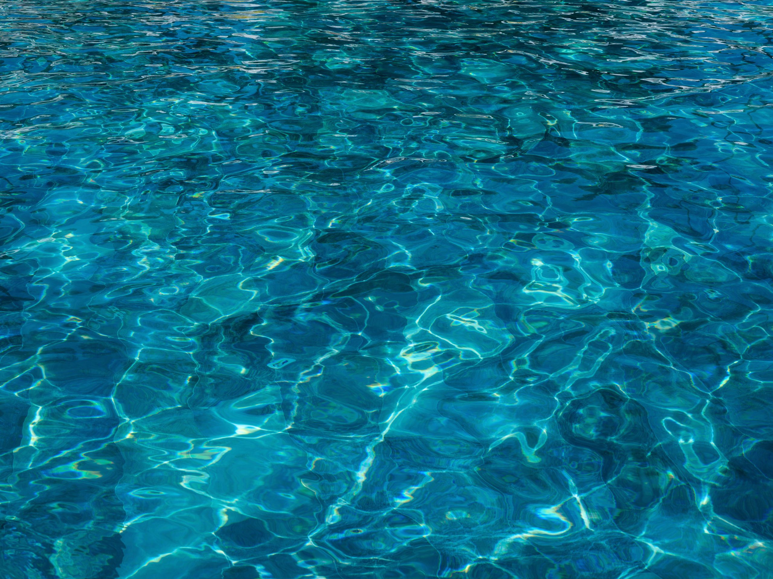 L’elemento acqua in casa. Micro-rituali biofilici per creare angoli rigeneranti, anche se vivi in 40 m²